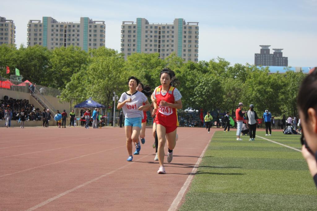图片4 图片4